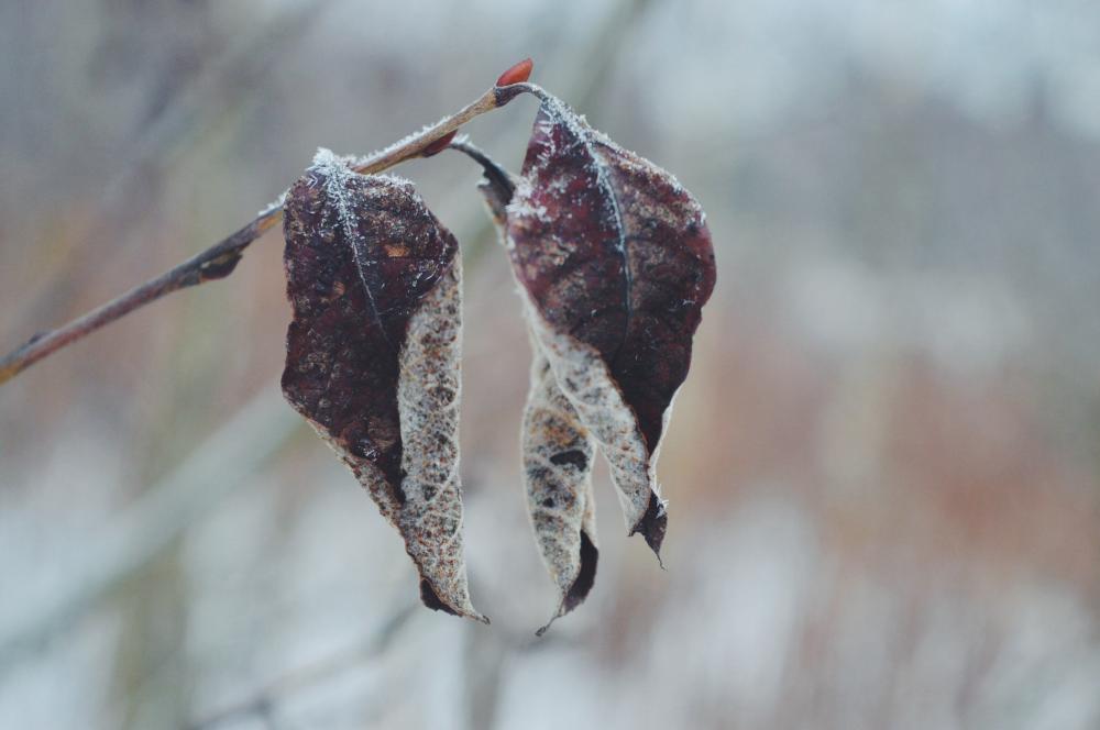 Jestem szczęśliwa bo..