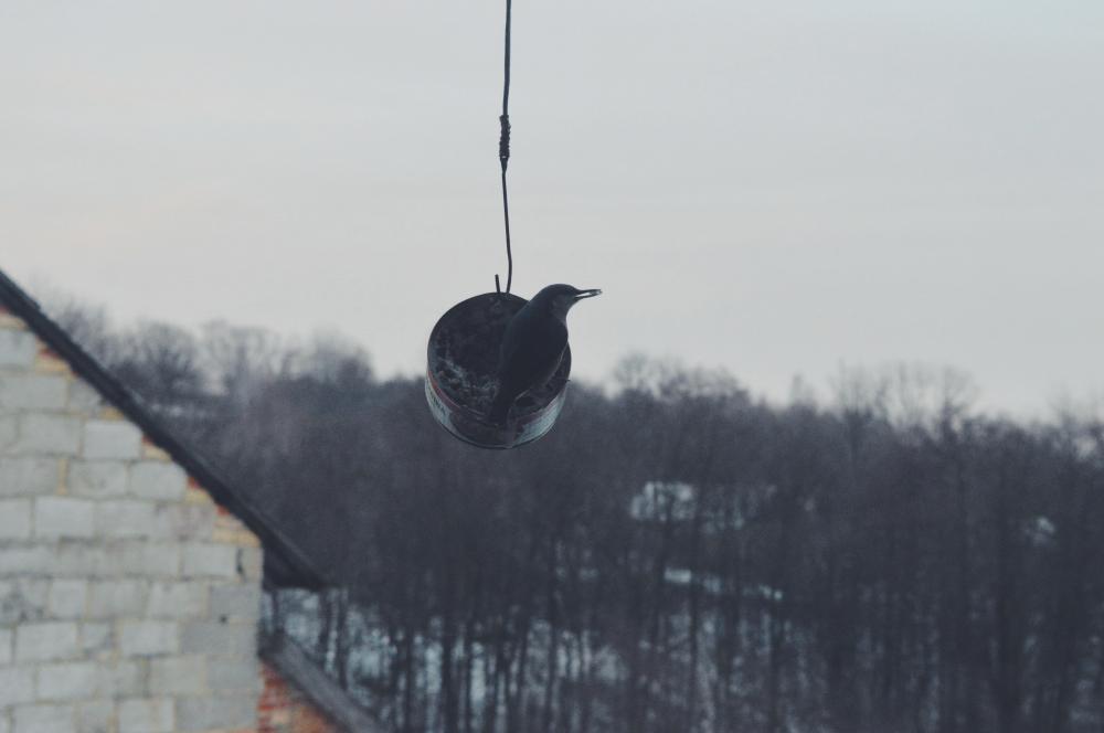 Jestem szczęśliwa bo..