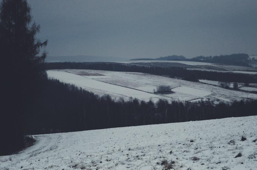 Jestem szczęśliwa bo..