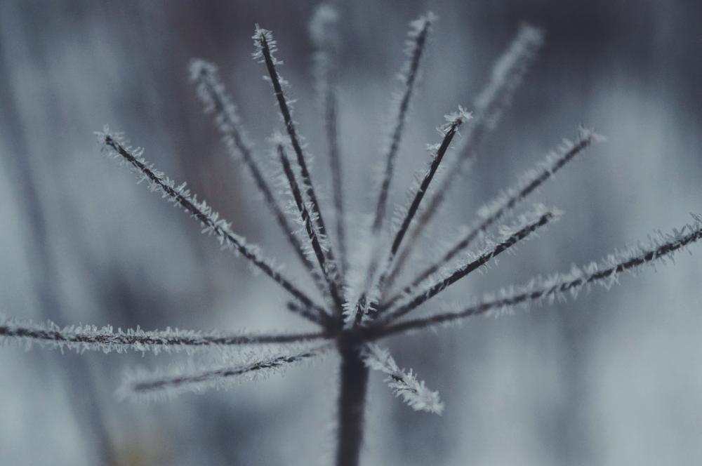 Jestem szczęśliwa bo..
