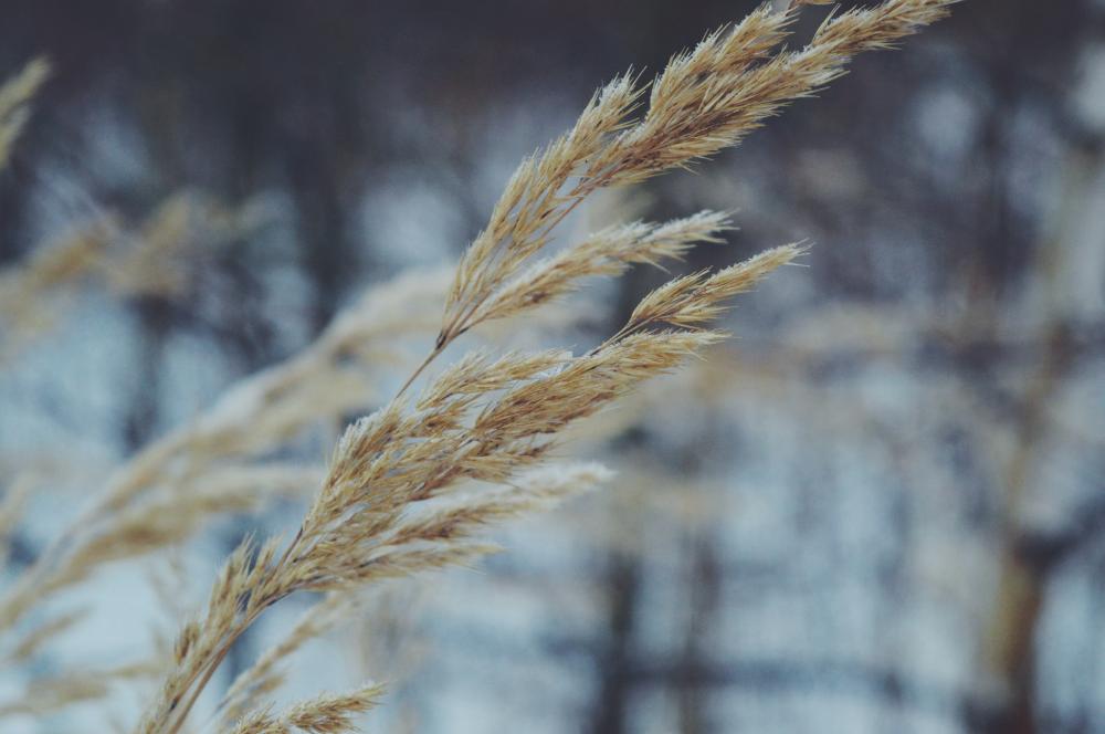 Jestem szczęśliwa bo..