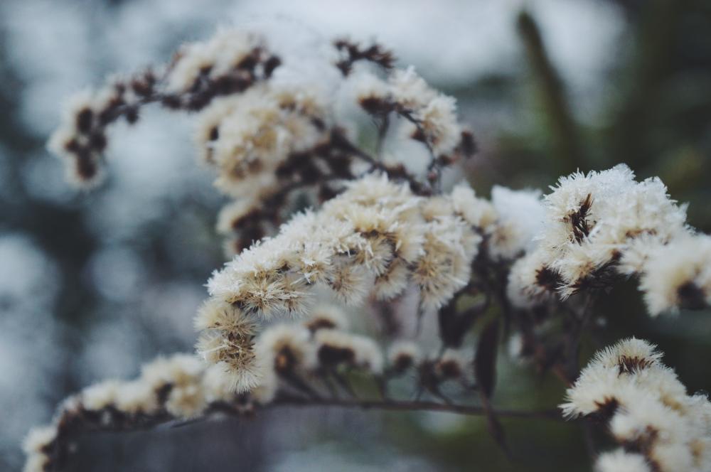 Jestem szczęśliwa bo..