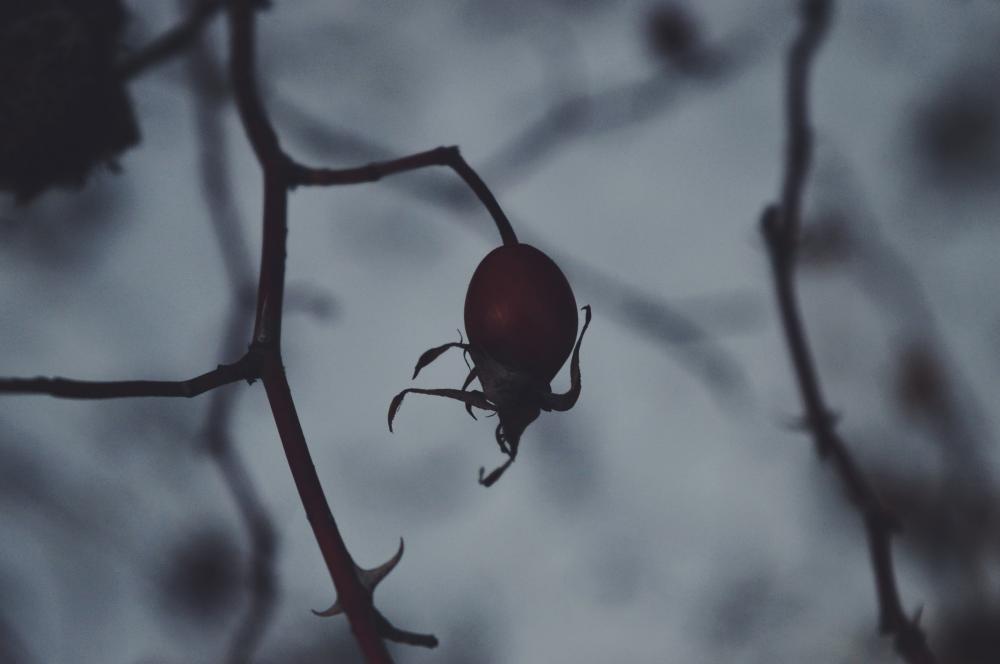 Jestem szczęśliwa bo..