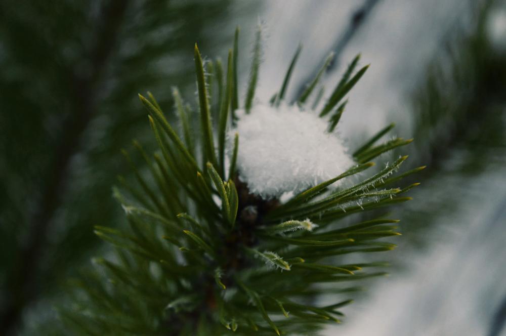 Jestem szczęśliwa bo..