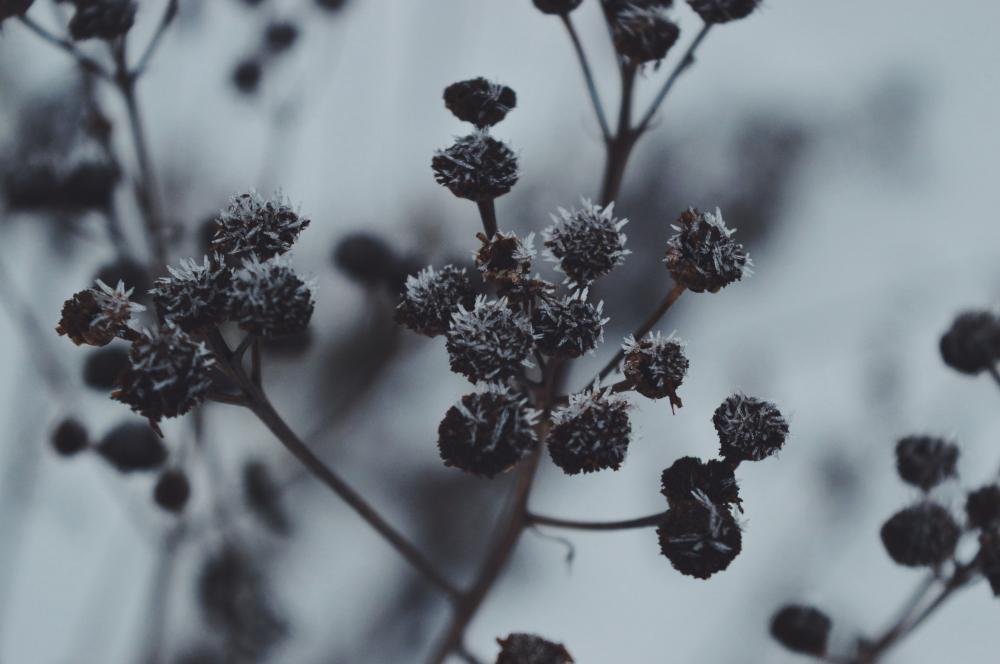 Jestem szczęśliwa bo..