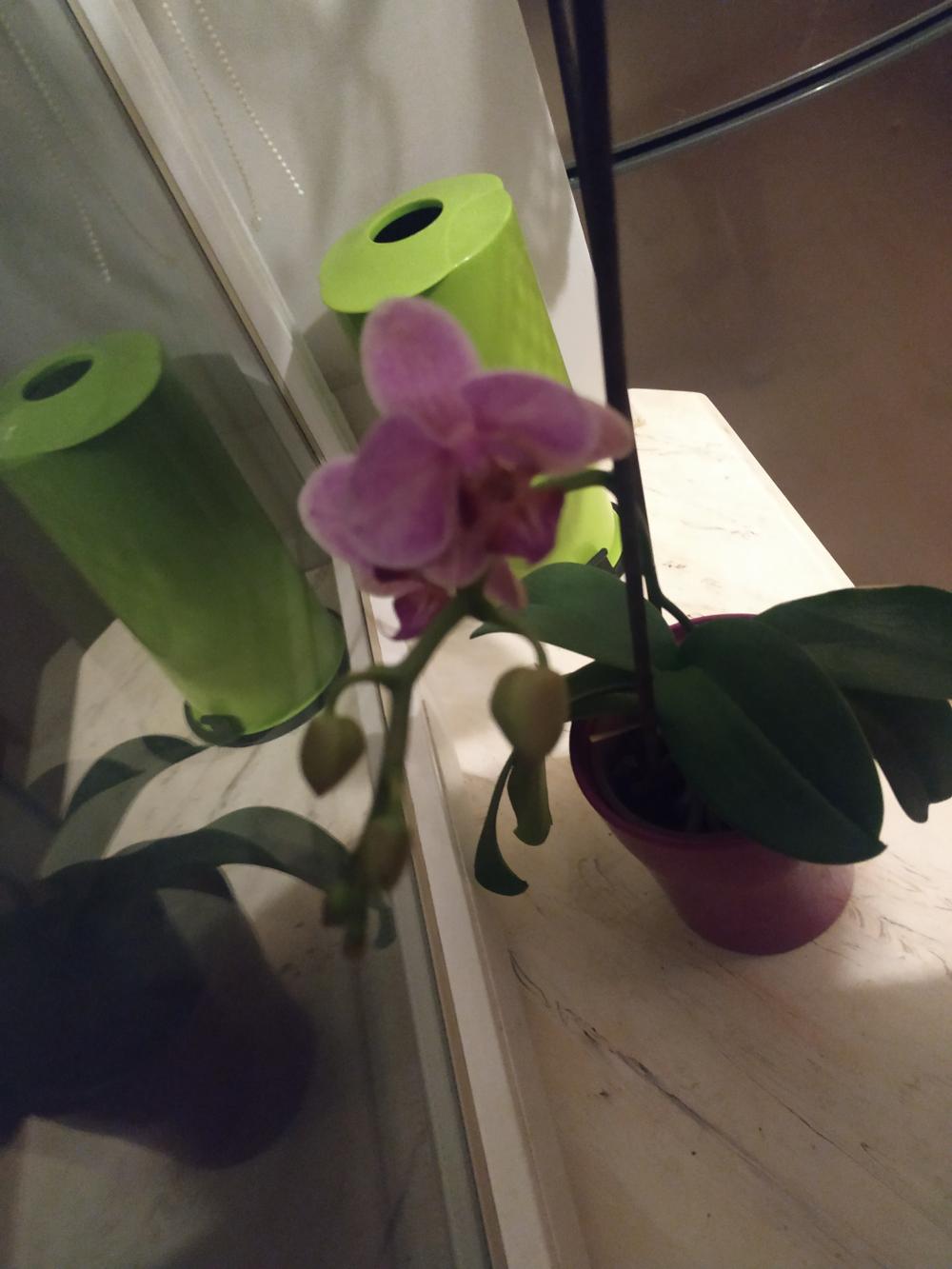 Jestem szczęśliwa bo..