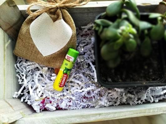 Carmex Balsam do ust w sztyfcie, Lime Twist