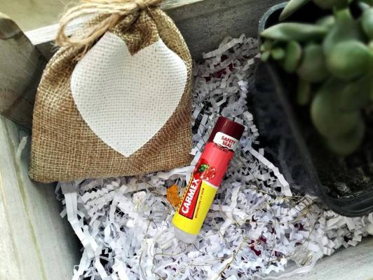 Carmex Balsam do ust w sztyfcie, Pomegranate