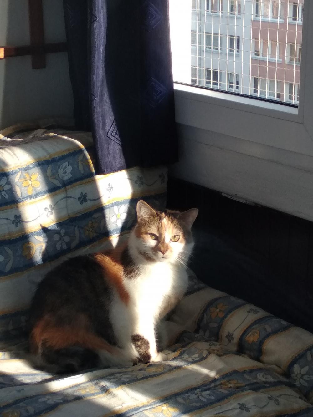 Jestem szczęśliwa bo..