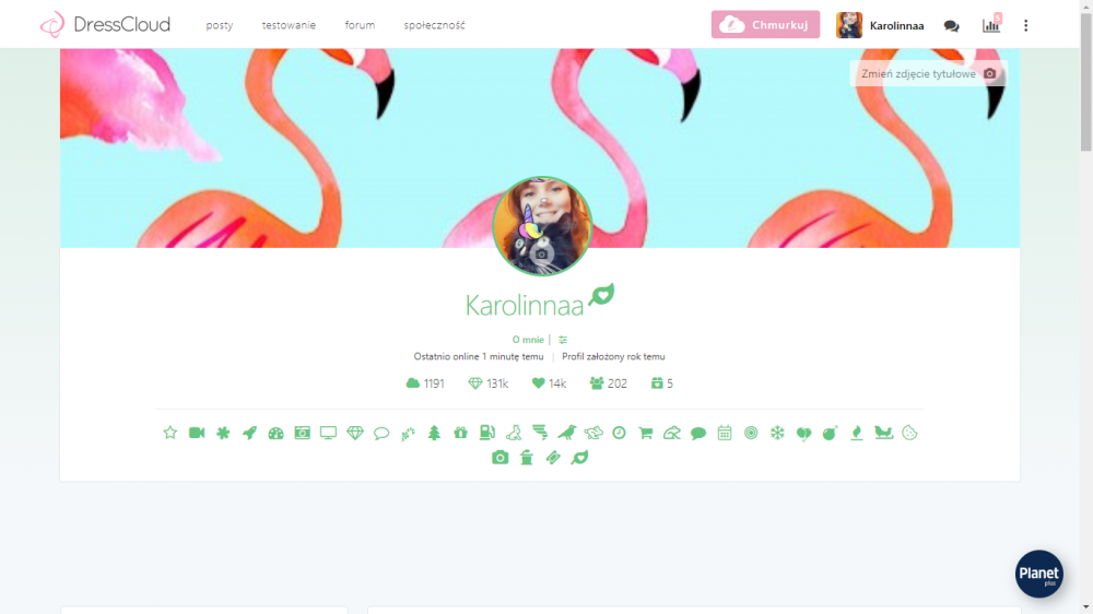 Nowy wygląd profilu na Dresscloud 