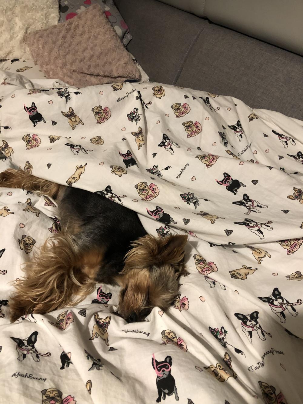 Pochwalmy się swoimi pupilkami :)