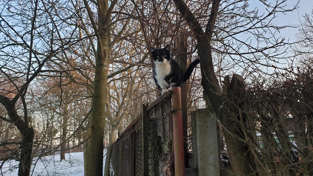 Wyzwanie FOTOGRAFICZNE  - Sierpień ! :) 