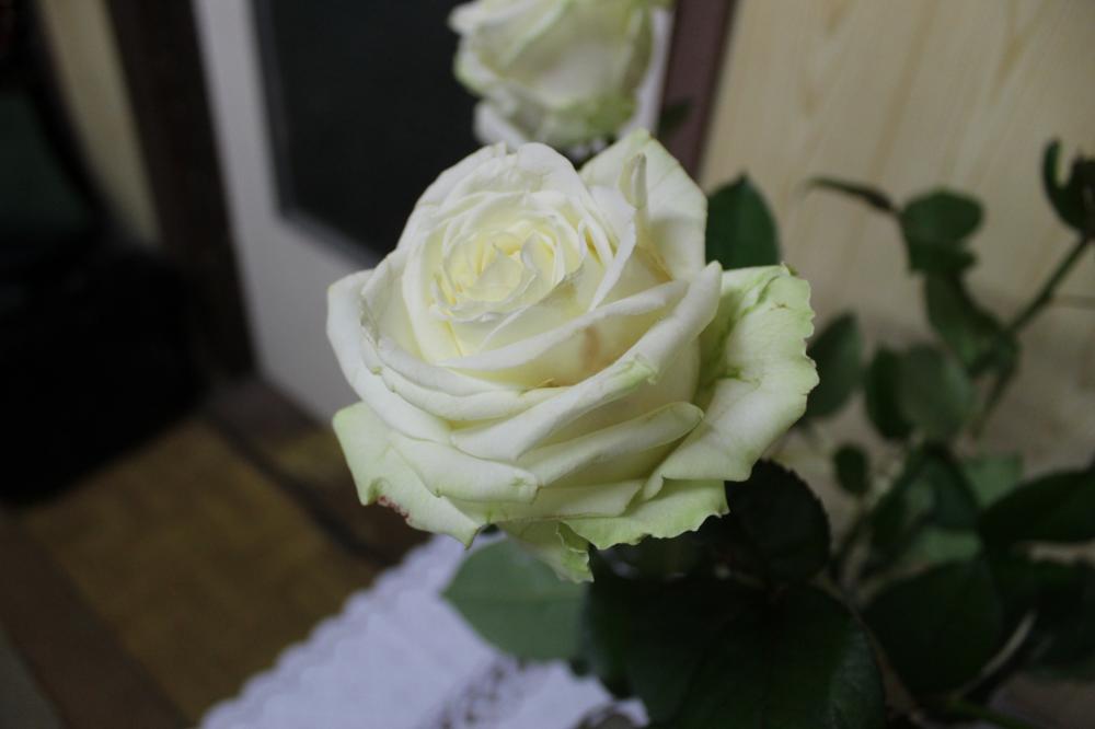 Wyzwanie FOTOGRAFICZNE  - Sierpień ! :) 