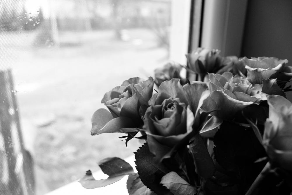 Wyzwanie FOTOGRAFICZNE  - Sierpień ! :) 