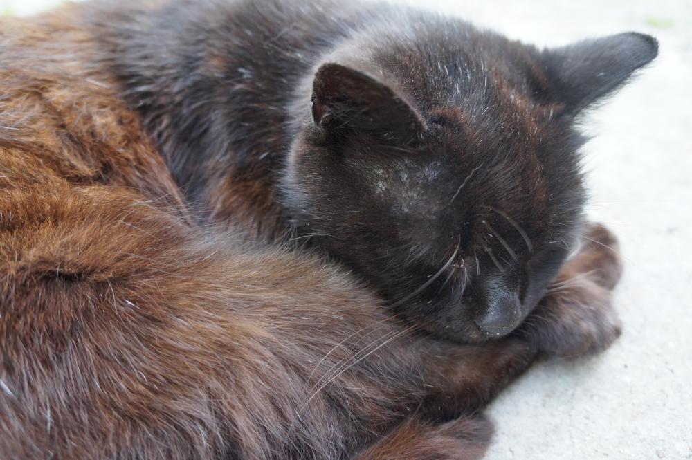 Wyzwanie FOTOGRAFICZNE  - Sierpień ! :) 