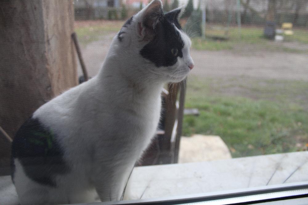 Wyzwanie FOTOGRAFICZNE  - Sierpień ! :) 