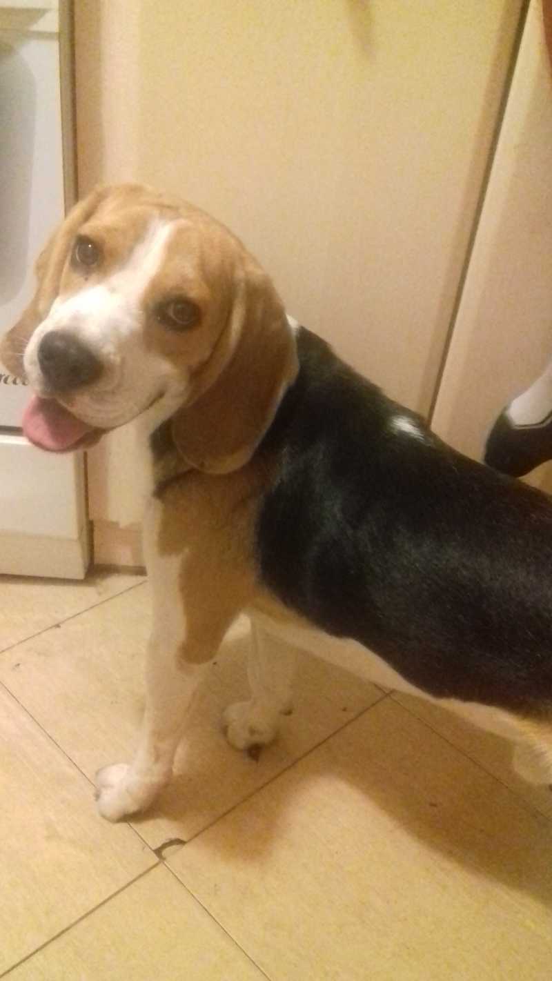 Pochwalmy się swoimi pupilkami :)