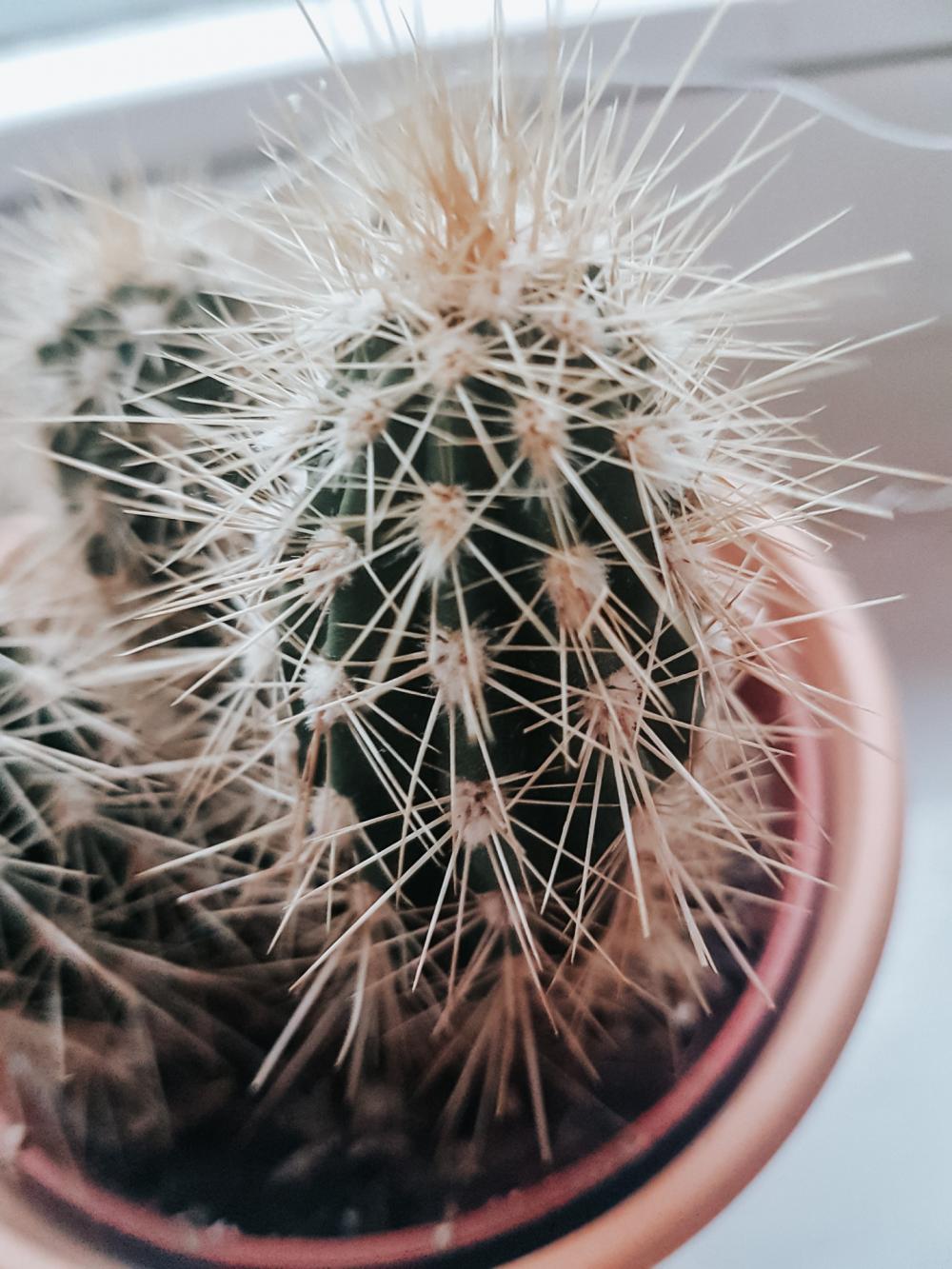 Wyzwanie FOTOGRAFICZNE  - Sierpień ! :) 