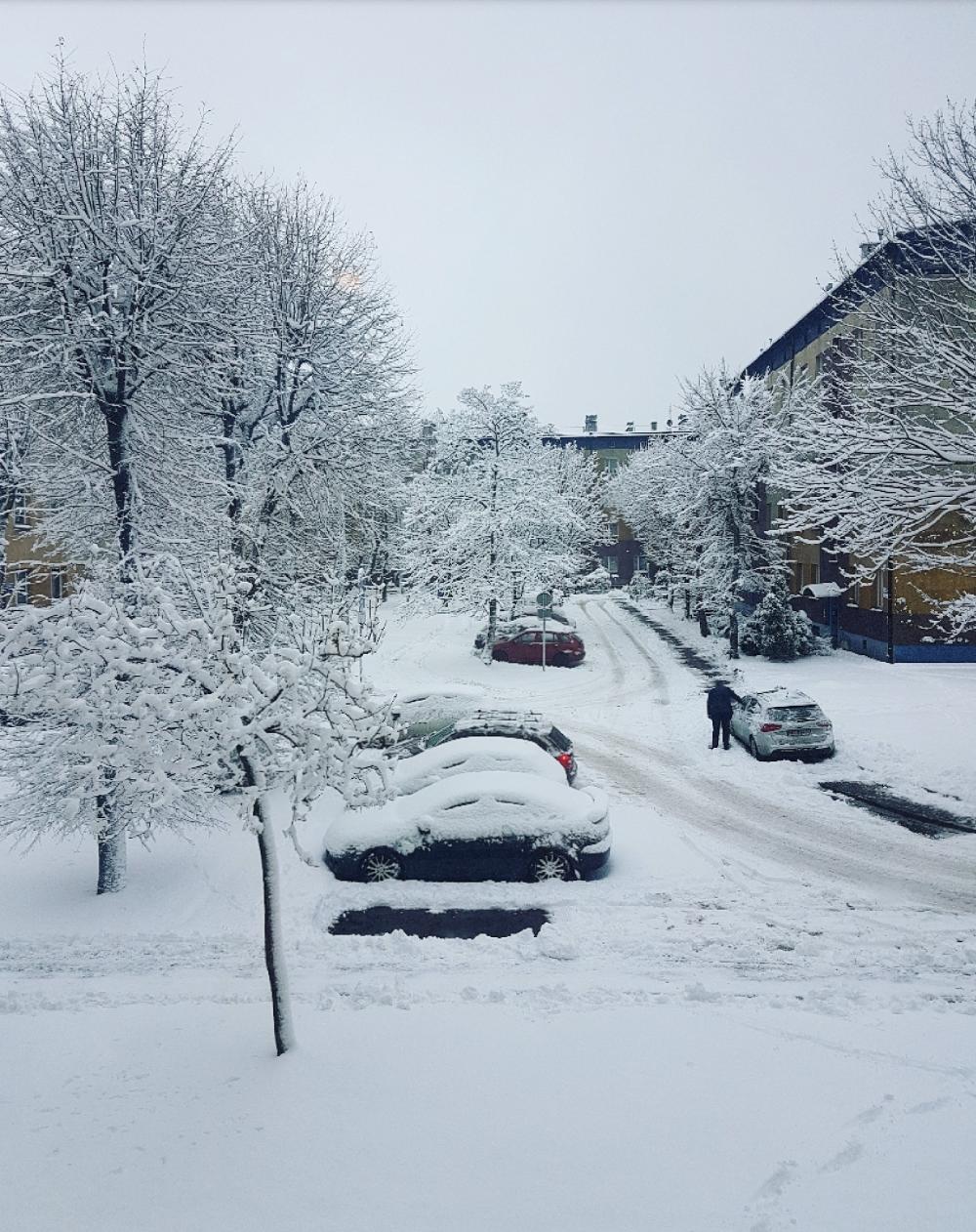 Wyzwanie FOTOGRAFICZNE  - Sierpień ! :) 