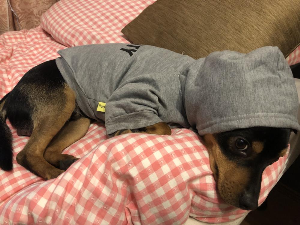 Pochwalmy się swoimi pupilkami :)