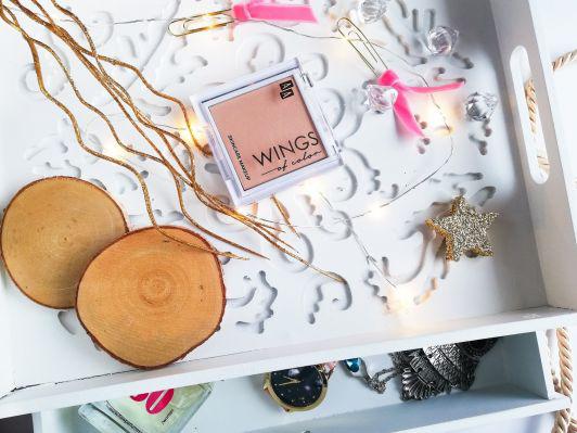 AA Wings of Color Skincare Makeup, Precious Highlighter | Efektowny rozświetlacz do modelowania