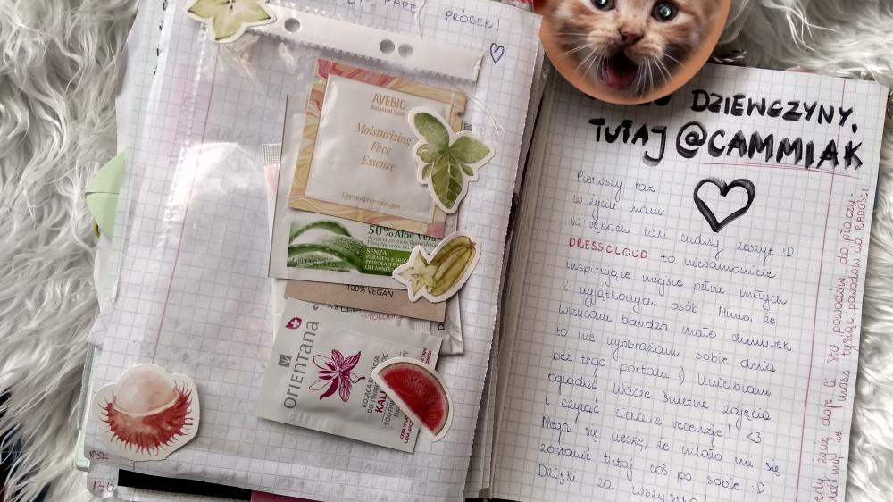 Wędrujący Zeszyt DC (2018/2019/2020)