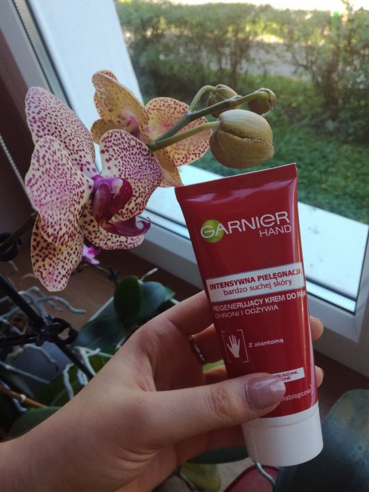 kosmetyki do pielegnacji dloni garnier