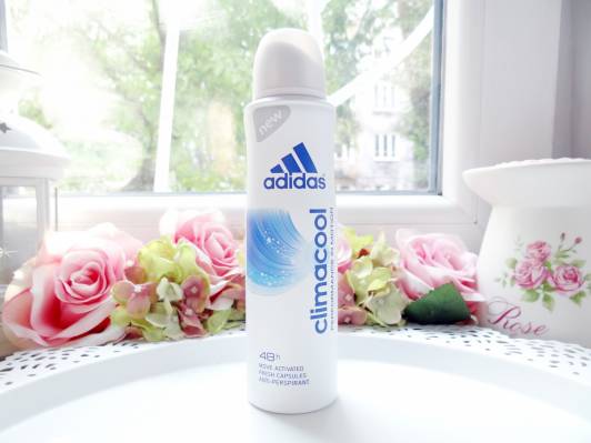 adidas antyperspirant w sprayu climacool