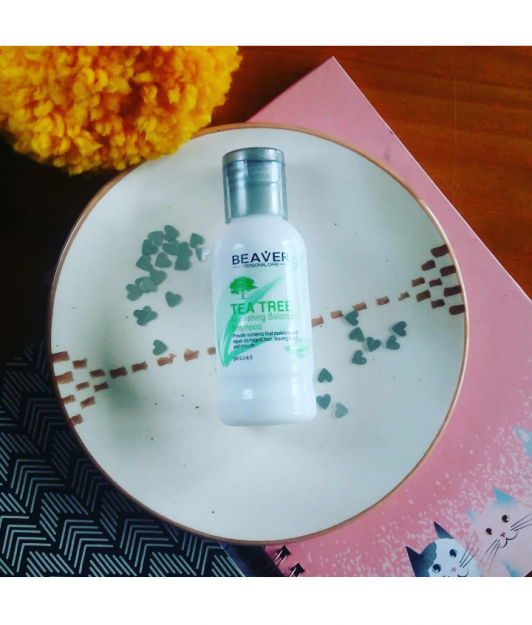 Beaver Szampon do włosów, Odżywczy 2 w 1, Nourishing Balance Shampoo, Tea Tree