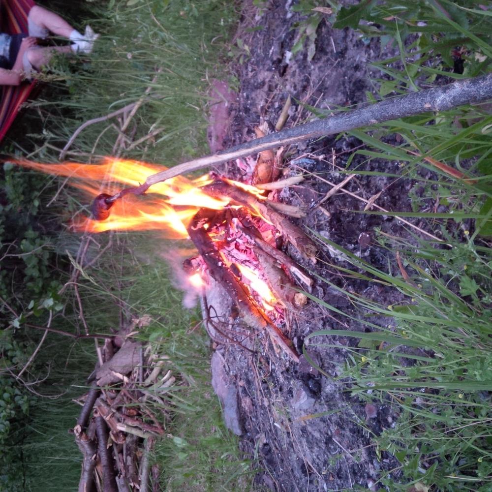 Jestem szczęśliwa bo..