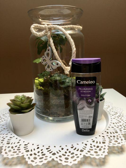 Delia Cameleo, Płukanka do włosów, Fioletowa