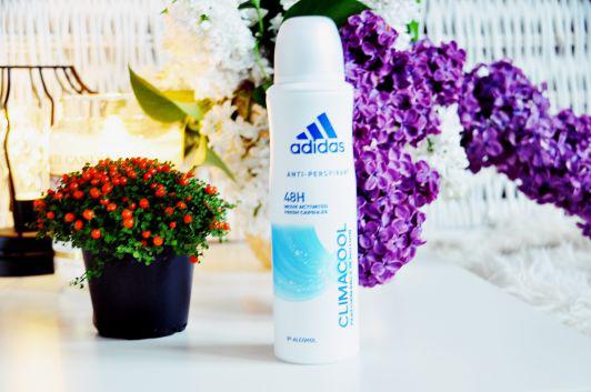 Adidas Antyperspirant w sprayu, Climacool