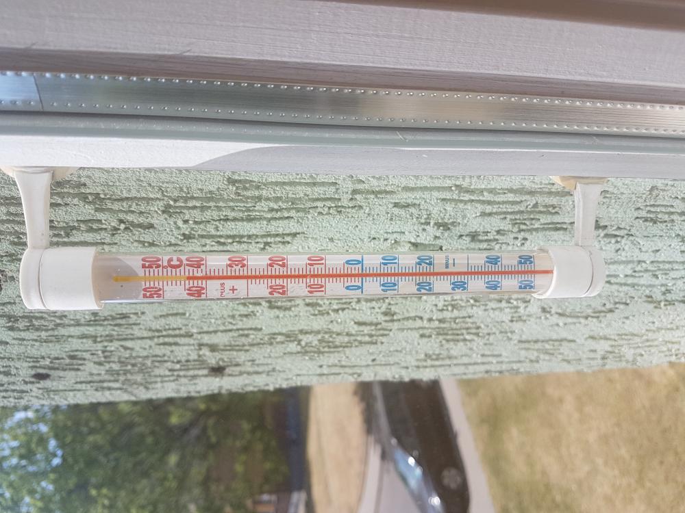 Kulturalne narzekanie na rzeczywistość! Uwaga - zawiera offtopy!