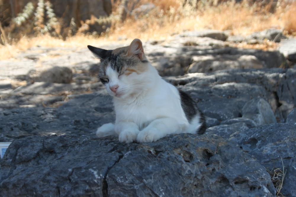 Wspomnienia z wakacji.