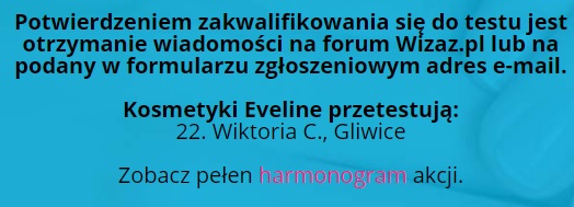 testowanie z wizaz.pl