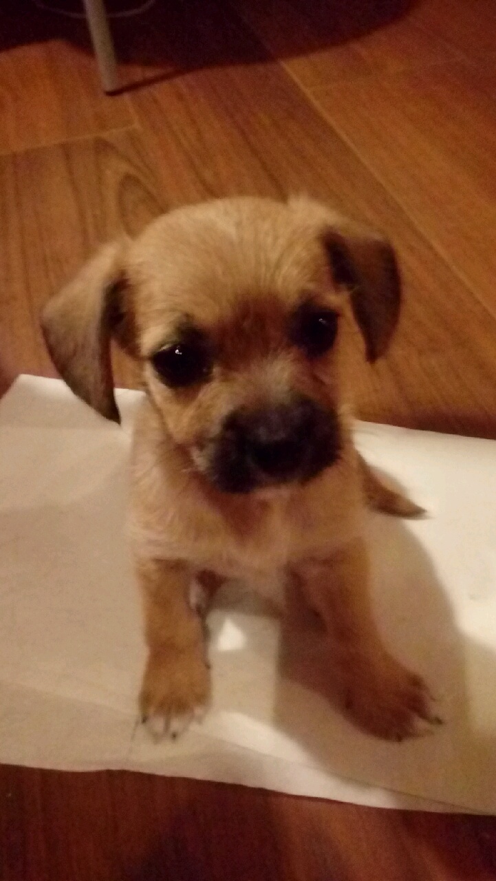 Jestem szczęśliwa bo..