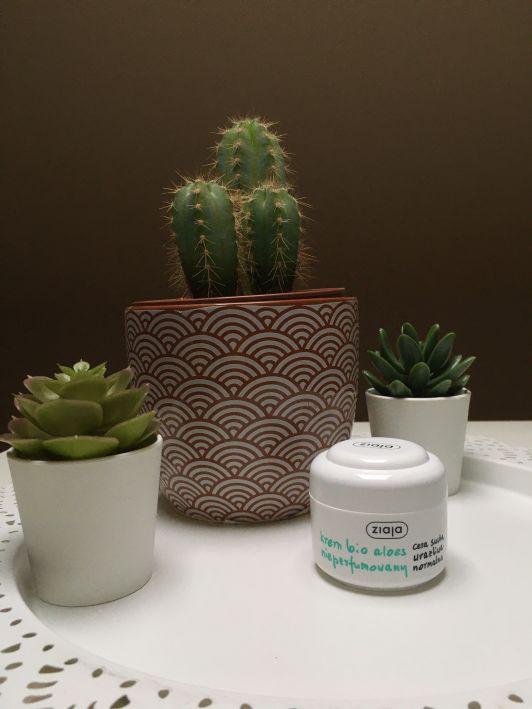 Ziaja krem aloes