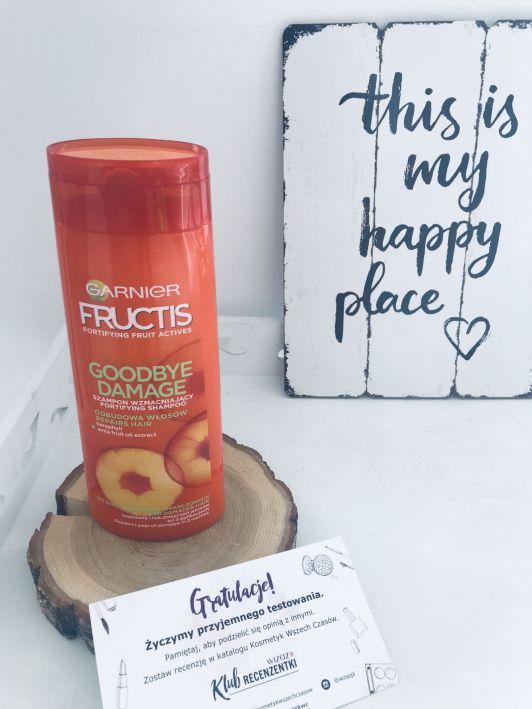 Garnier Fructis Goodbye Damage