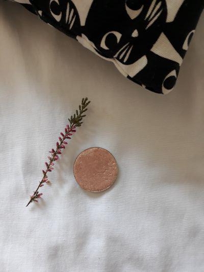 Glam-Shop Rozświetlacz Prasowany, Turbo Glow, Rozświetlica