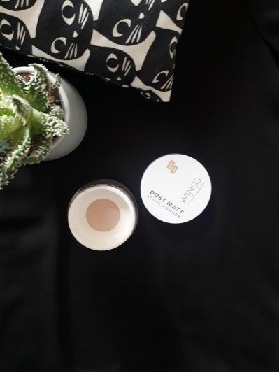 AA Wings of Color, Dust Matt, Puder do twarzy, Sypki, Loose Powder, nr 20 Transparent