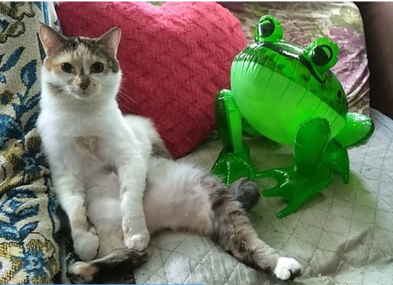 Pochwalmy się swoimi pupilkami :)