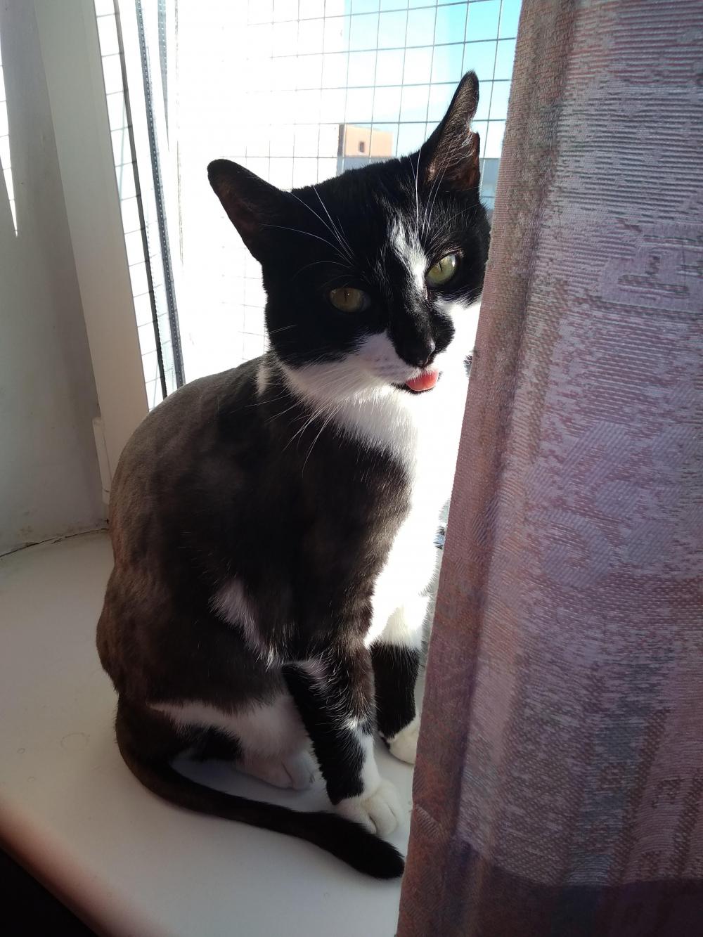 Pochwalmy się swoimi pupilkami :)