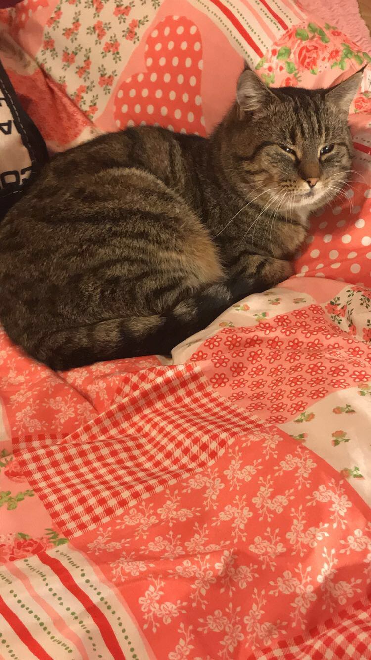 Pochwalmy się swoimi pupilkami :)