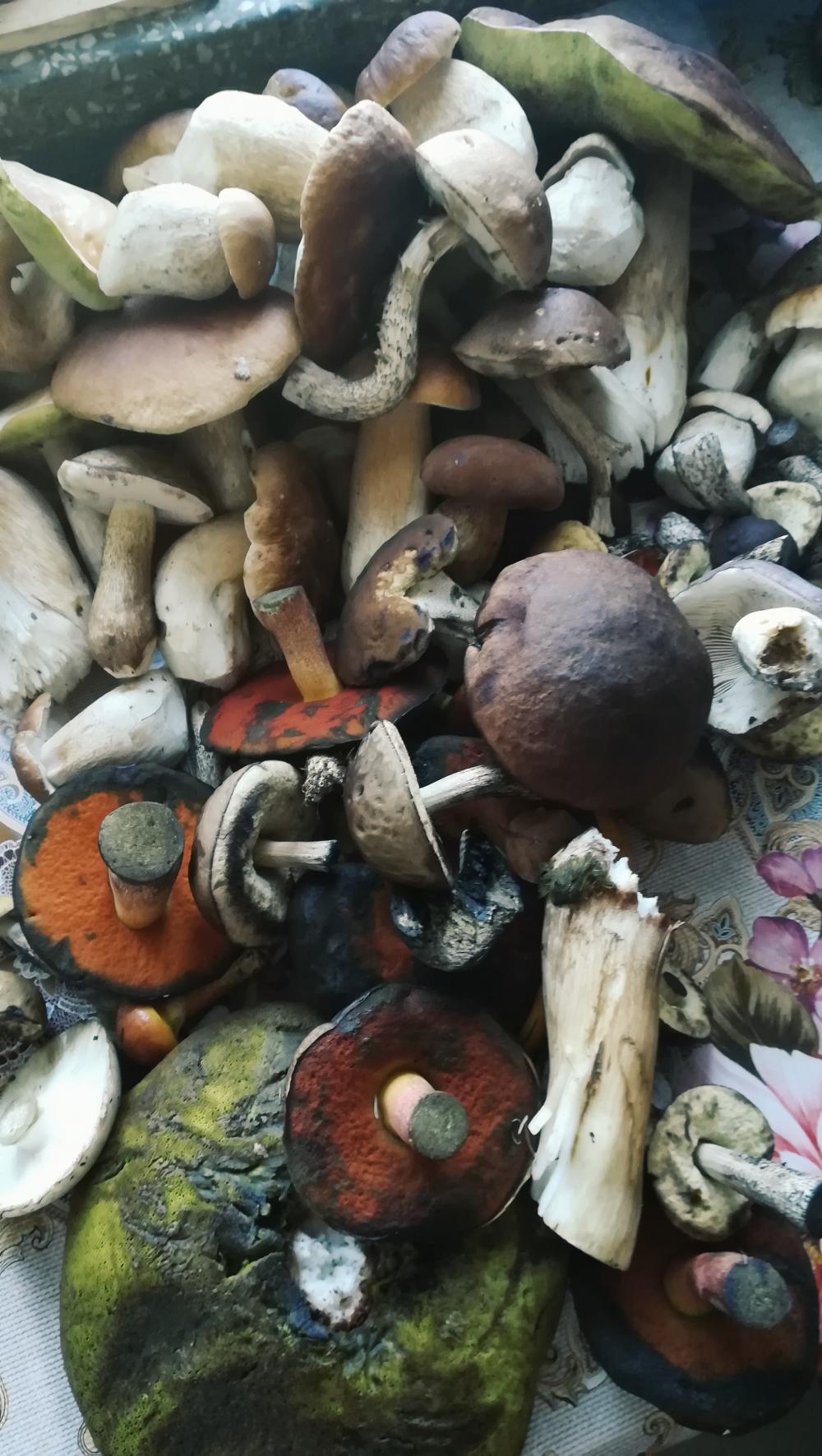 Jestem szczęśliwa bo..