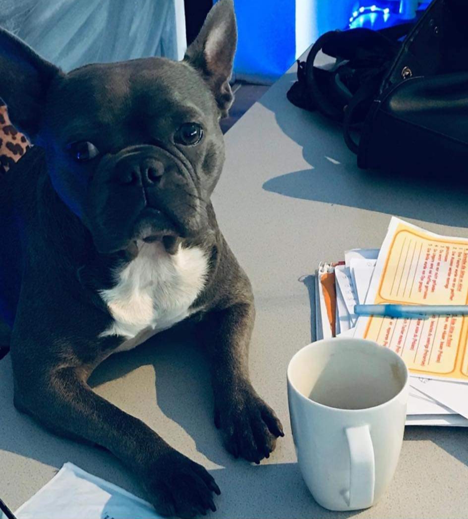 Pochwalmy się swoimi pupilkami :)