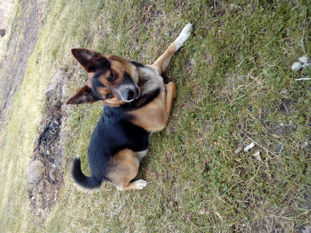 Pochwalmy się swoimi pupilkami :)