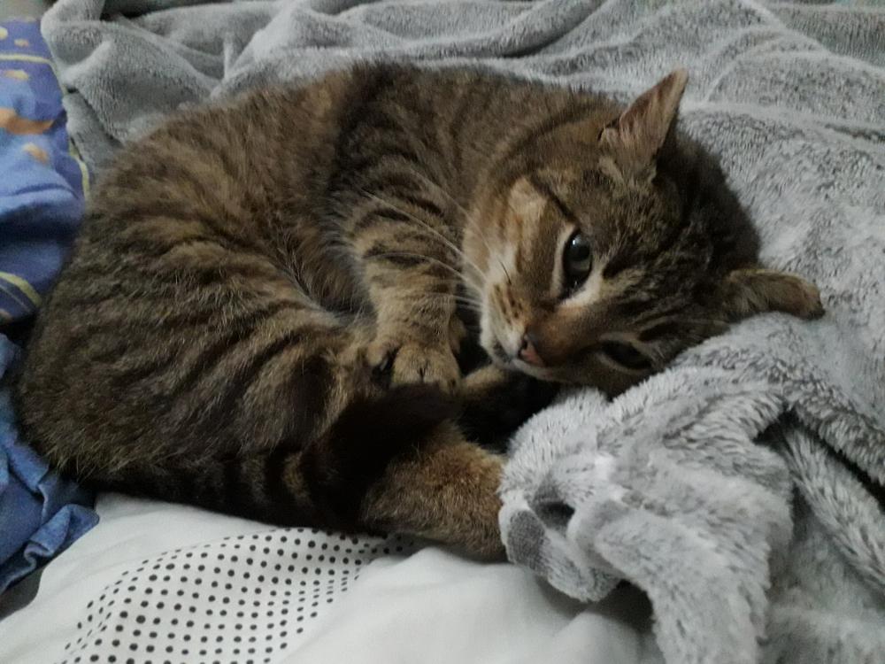 Pochwalmy się swoimi pupilkami :)