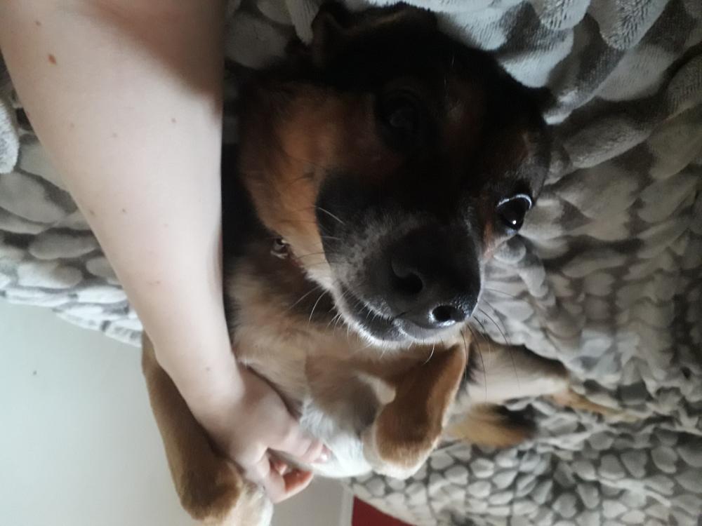 Pochwalmy się swoimi pupilkami :)