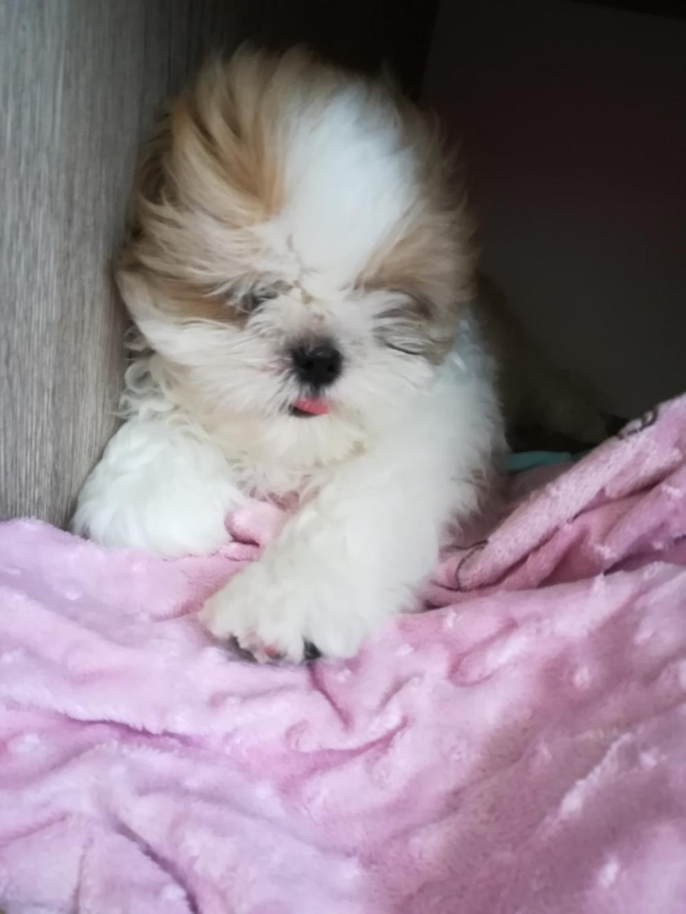 Pochwalmy się swoimi pupilkami :)