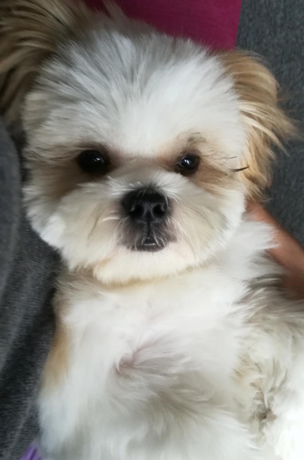 Pochwalmy się swoimi pupilkami :)